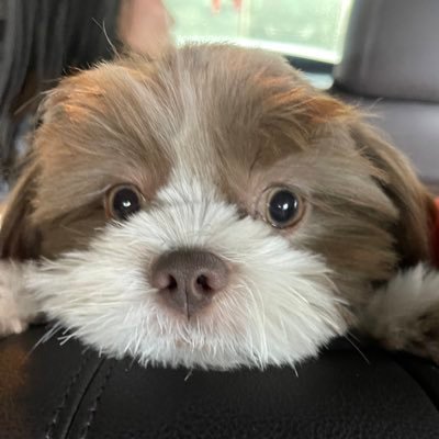 NacesElla's profile picture. 