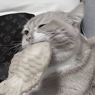 髪まっしろけっけになたよ