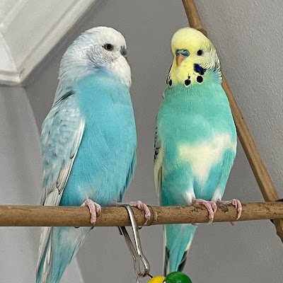 MattyPr63327991's profile picture. 