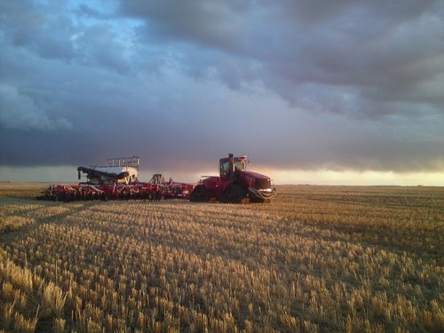 Father to 5, Husband, 4th gen. farmer, Growing crops in the summer and carving up the slopes of SK in the winter.