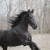 Horserider Tracie (@munchinato67519) Twitter profile photo