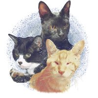ねここねこ (@neco222coneco) 's Twitter Profile Photo ねここねこ (@neco222coneco) 's Twitter Profile Photo