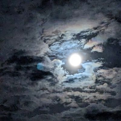 AnnmarieRuscoe's profile picture. art & design  pottery sculptures  and singing and poems and writing songs makes me tick