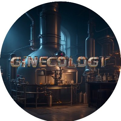 La passione per il gin ci porta ad aprire un blog tutto nostro dove poter consigliare al meglio.