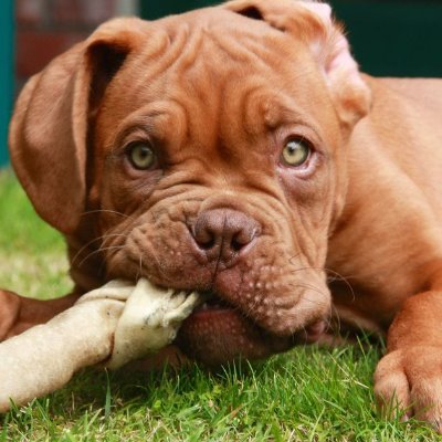 SMOOVEY4's profile picture. A Design and Process Engineer, Entrepreneur and Proud @ManUtd supporter.A man of excellence.Father of Candice.#ProudlyZimbabwean #CCC #Nhonho