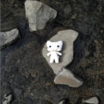 xu_jingxia1816's profile picture. 