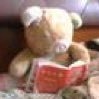 amimibear (@tianyang_tao) 's Twitter Profile