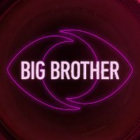 Big Brother TVI(@bigbrothertvi) 's Twitter Profileg