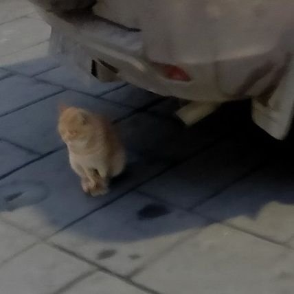 e6xTWd8XsE4E3Dn's profile picture. 你猜