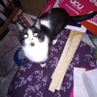 Duncan Adam (@jds_adam) 's Twitter Profile