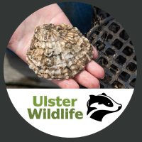 Ulster Wildlife Marine Team(@BlueRecoveryNI) 's Twitter Profile Photo