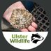 Ulster Wildlife Marine Team (@BlueRecoveryNI) Twitter profile photo