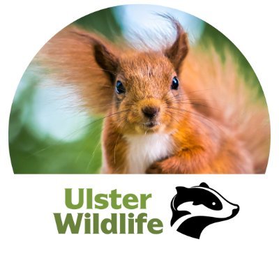 Follow to keep track of Ulster Wildlife’s Red Squirrel work. Please submit your sightings via Ulster Wildlife’s website.