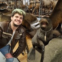 Joe Rees (@joerees2511) 's Twitter Profile
