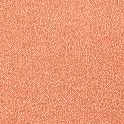 toitoitoicy1122's profile picture. tsuda univ. 3年 B23🇩🇪／教職(社会科・地歴公民)