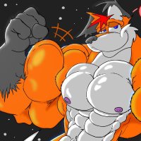 Kit (@macrokit) 's Twitter Profile