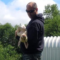 Jeff Elliott (@jeffelliott709) 's Twitter Profile