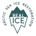 Real Ice (@real_ice_dev_co) Twitter profile photo Real Ice (@real_ice_dev_co) Twitter profile photo