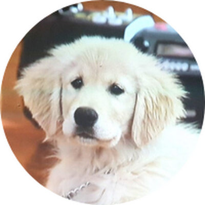 isuji2042527's profile picture. 