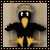 Financials, Accounting, Regulations and Compliance. Specialist on major SAP upgrades.