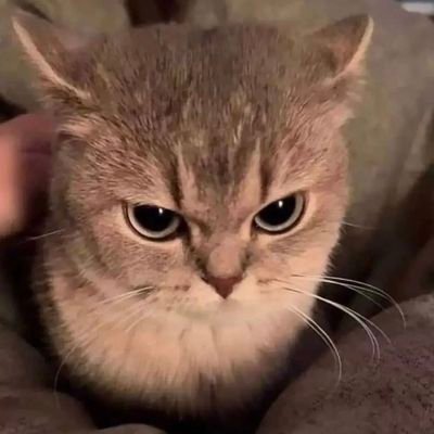 趣味でアイデア等を時たま国会ご感想にぼやきます(o・ω・o)教科書は「ミヤネ屋」「ten.」「そこまで言って委員会」「高岡目線」「NHKスペシャル」「映像のエフェクト」等です。推しは、佐藤勝利君、松島聡ちゃん、中島健人君です。推し活として時たまケンティーにもアイデアぼやきます。