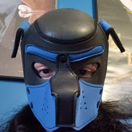 I'm a fun loving pup and I really want to make some new pup friends. Here is my Telegram account @Pupmarshall hmu.