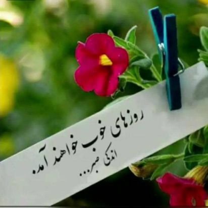 sazegarn4's profile picture. فقط زنده ایم