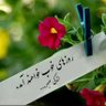 sazegarn4's profile picture. فقط زنده ایم