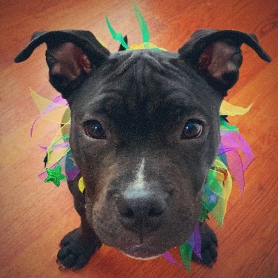 BruceMelon369's profile picture. Exaggerate the essential, leave the obvious vague