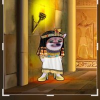 Cathy (@cathy39637692) 's Twitter Profile