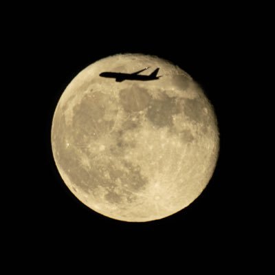 無言フォロー失礼いたします🙏 飛行機が好きです!! 🚫無断転載禁止 一言お声がけください! 主に航空機の写真を撮っています!! メイン機材はD500 Z50です。元D5600ユーザー 今はサブ機。HNDを拠点として活動をしています。 サブ垢始めました!