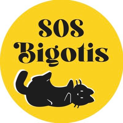 BigotisSos Profile Picture