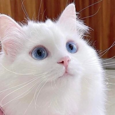 kym_nyan's profile picture. 大我くんに生かされてる人生バンザイ❕😻💖
