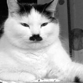 WendyHuynh93483's profile picture. Chào các bạn từ Facebook qua 🩷🩷