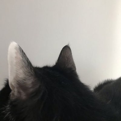 chigi12m's profile picture. 19歳 ︎┊︎主に東京エイリアンズ、🌈🕒のお取引！ ︎┊︎浮上=返信済 ︎┊︎ はじめましての方はプロカの確認お願いいたします┊︎たまにお取引じゃないポストします︎┊︎⋆⸜ ⸜ 東京エイリアンズより天空橋推し！ ⸝‍ ⸝‍⋆