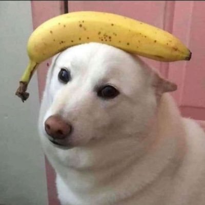 spontanerkek99 Profile Picture