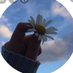 hana ghamdy (@ontha2nty) Twitter profile photo hana ghamdy (@ontha2nty) Twitter profile photo