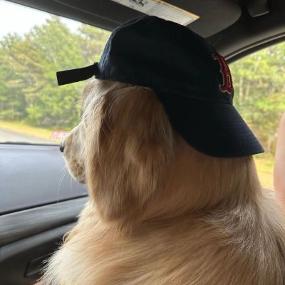 mohmedyosfe's profile picture. Live well and meet slowly.