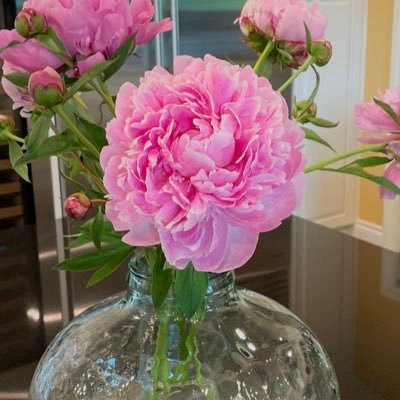 ancill_angela's profile picture. One liner! One God, Man + Woman, Free Speech, 🚫NO DMs 🚫No Porn🚫🇨🇦🇺🇸