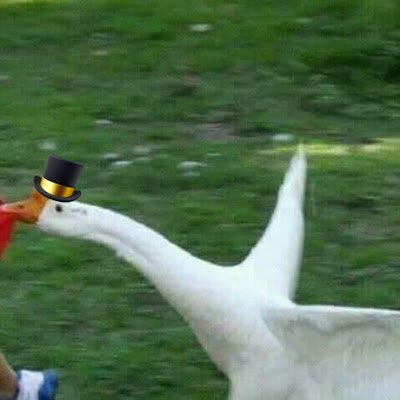 niennguyen96568's profile picture. 