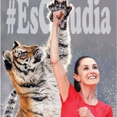 Mexicana, Obradorista, seguidora y admiradora de la 4T.. 🇲🇽 Adoro a los Gatos y felinos 🐈 y detesto el maltrato animal.