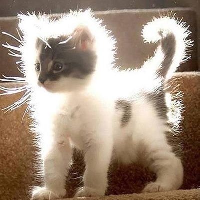 m_____m998's profile picture. 