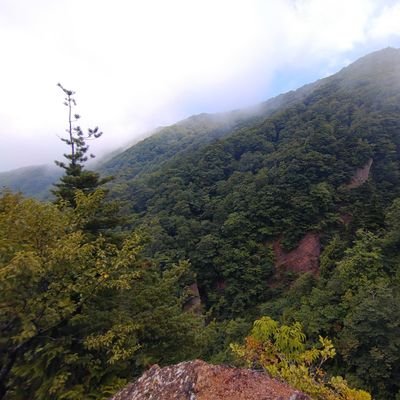 derccUGXIsEH9lj's profile picture. 目標
①大切な人に贈れるような（≒見せても恥ずかしくないような）イラストを描けるようになる
②コミケに参加する
③絶頂を与え、銭ころを頂く

期限
2024年9月7日