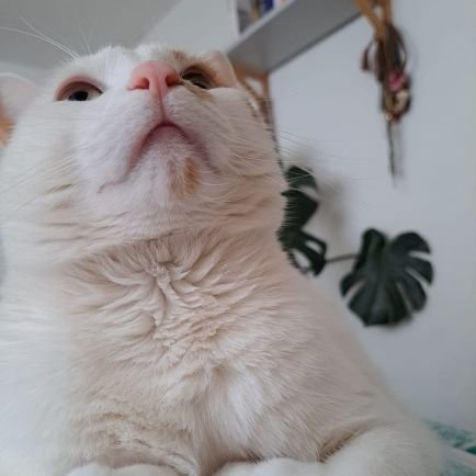 mnataliac's profile picture. 