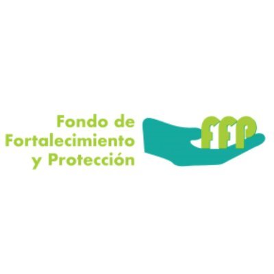 Somos el Fondo para Ayudas de Emergencia y Fortalecimiento Organizacional en Protección y Autoprotección (FFP)  🌱🫂