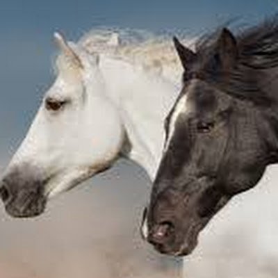 Coach T loves swimming, horseback riding and nature. Also all sports!!!! Go Jordan Jags!! Go!!