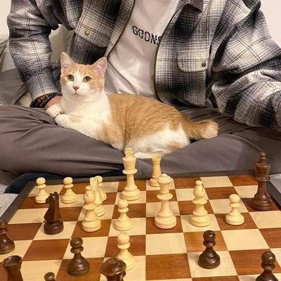 ChessOnTheHill Profile Picture