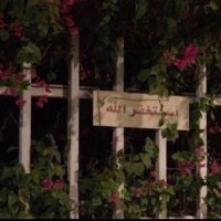 كيان (@r_tuar) 's Twitter Profile