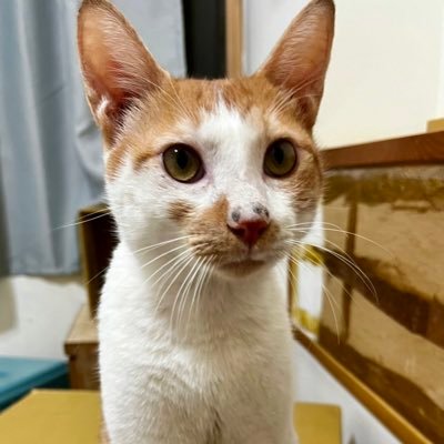 EvenC62's profile picture. 