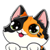 deliccate (@deliccate) Twitter profile photo deliccate (@deliccate) Twitter profile photo